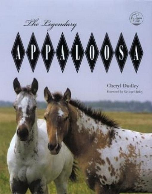 Legendary Appaloosa