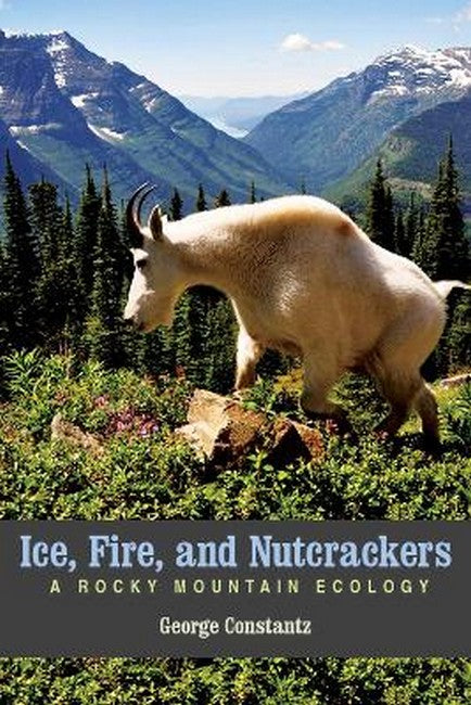 Ice, Fire, and Nutcrackers