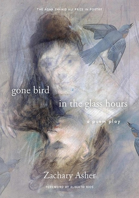 gone bird in the glass hours