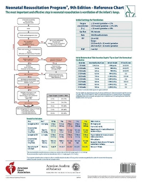 NRP399 NRP Wall Chart 9/e