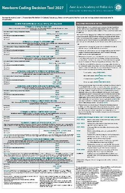 Newborn Coding Decision Tool 2027