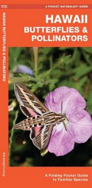 Hawaii Butterflies & Pollinators