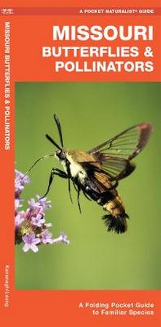 Missouri Butterflies & Pollinators