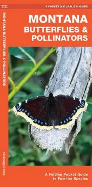 Montana Butterflies & Pollinators