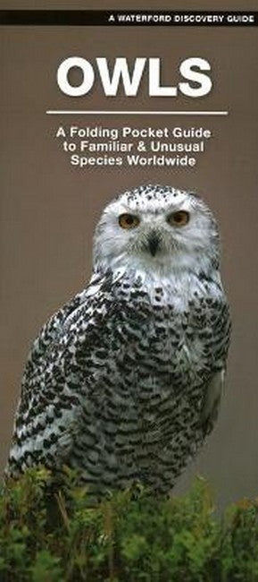 Owls