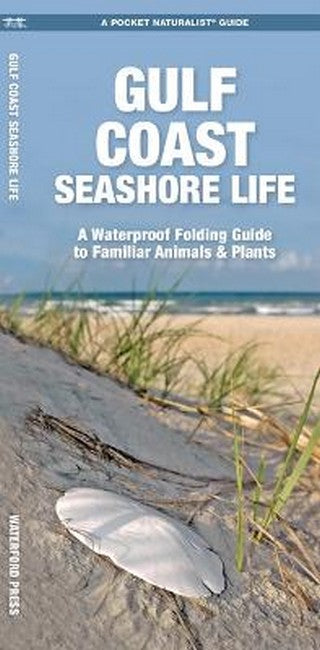 Gulf Coast Seashore Life 2/e