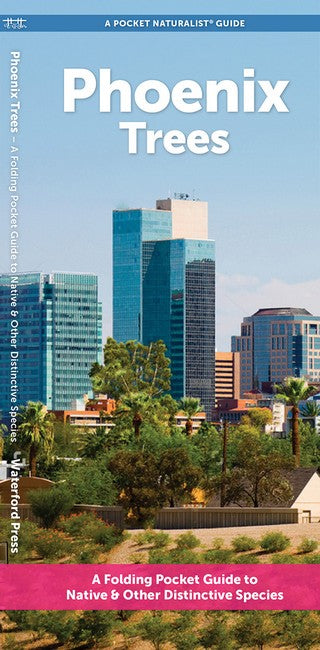 Phoenix Trees
