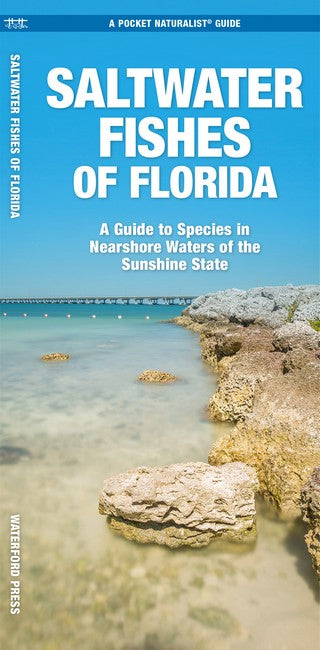 Saltwater Game Fish of Florida Nearshore Waters