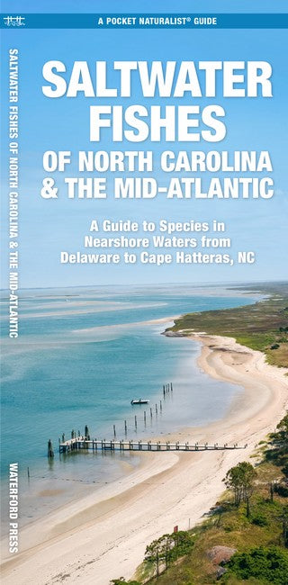 Saltwater Game Fish of North Carolina & Mid-Atlantic Nearshore Waters