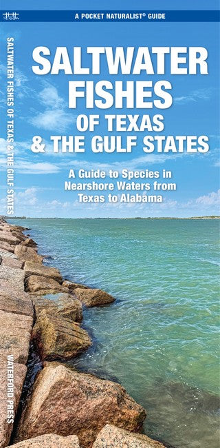 Saltwater Game Fish of Texas Nearshore Waters