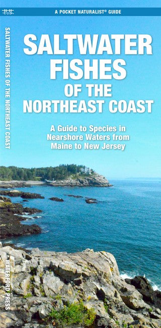 Saltwater Game Fish of Northeast Coast Nearshore Waters
