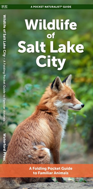 Salt Lake City Wildlife