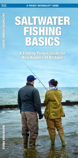Beginner's Guide to Saltwater Fishing