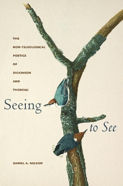 Seeing to See