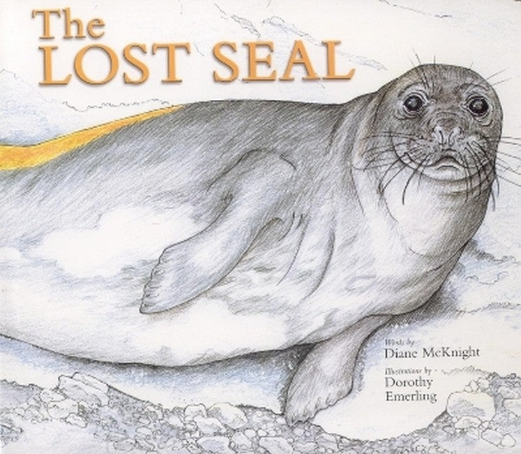 Lost Seal