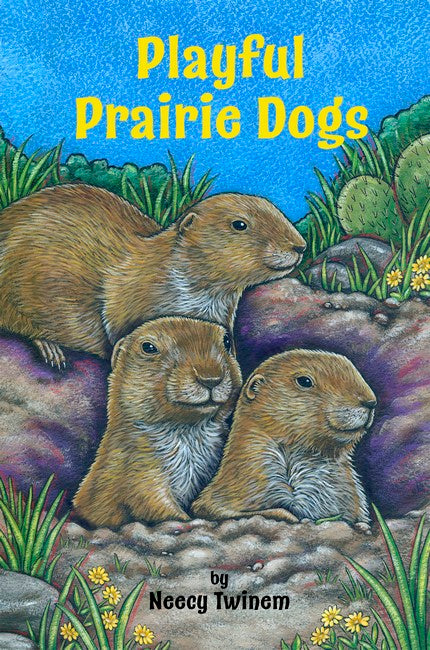 Playful Prairie Dogs