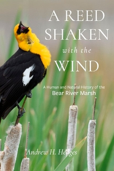 A Reed Shaken with the Wind