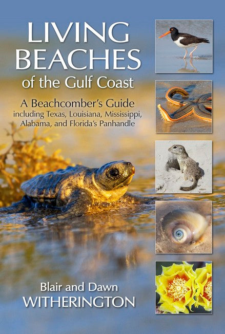 Living Beaches of the Gulf Coast