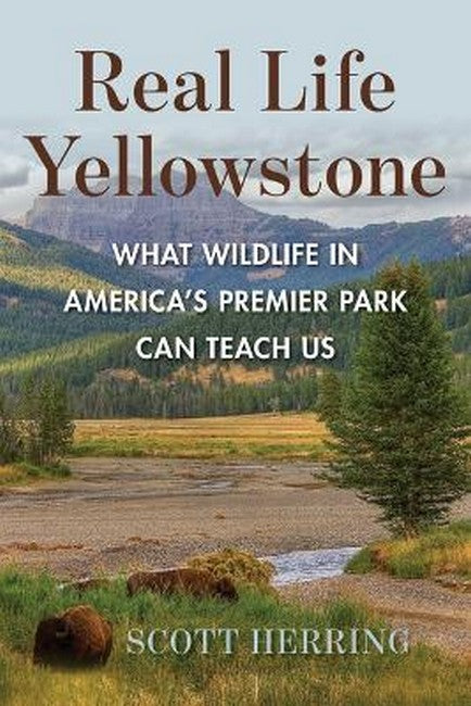 Real Life Yellowstone