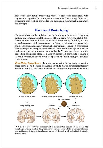 Brain Health and Exercise