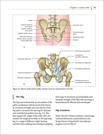 Soft Tissue Release 4/e