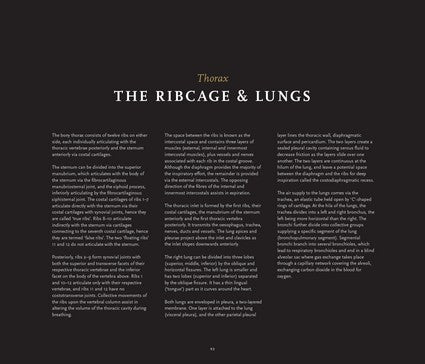 Anatomy in Black 2/e