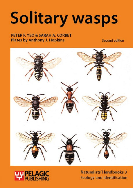 Solitary wasps 2/e
