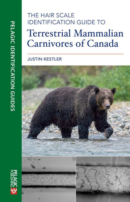 The Hair Scale Identification Guide to Terrestrial Mammalian Carnivoresof Canada