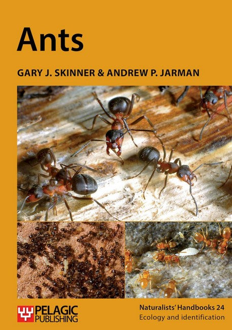 Ants 2/e