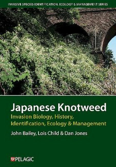 Japanese Knotweed