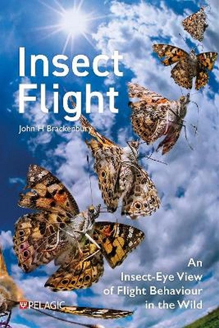 Insect Flight
