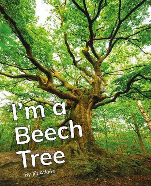 I'm a Beech Tree