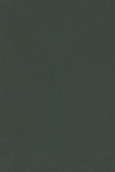 Desirable Literacies 2/e