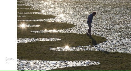 Light Field