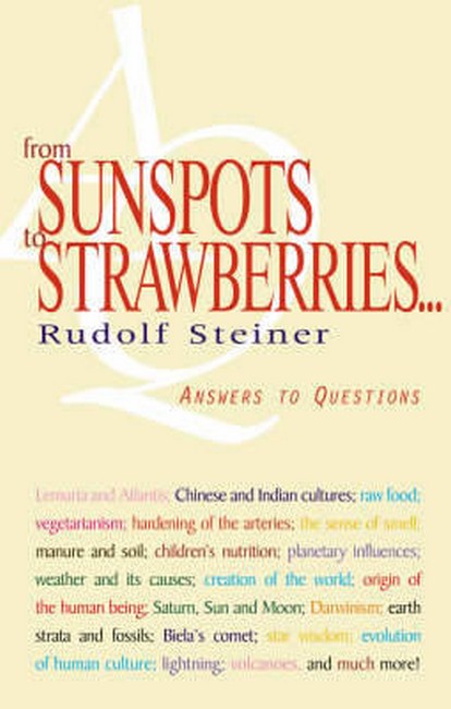 From Sunspots to Strawberries