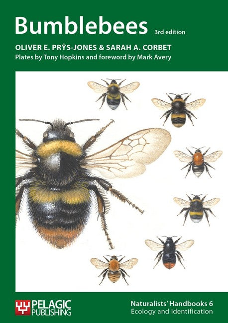 Bumblebees 3/e