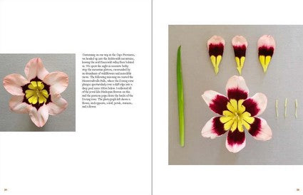 The Accidental Botanist