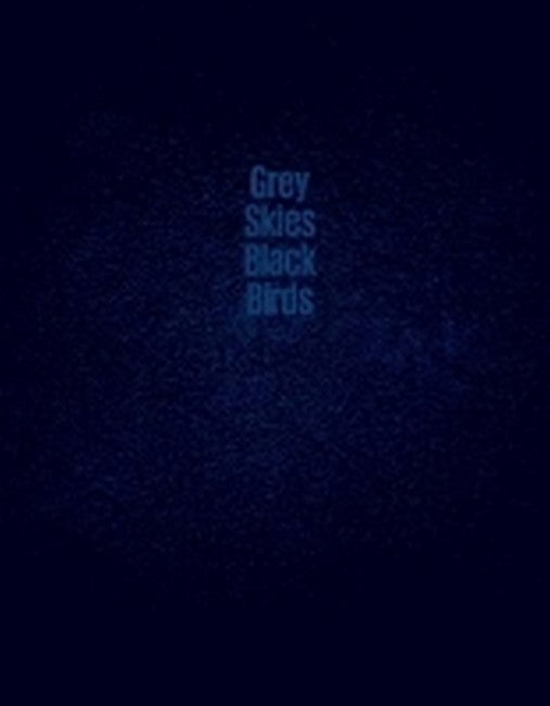 Grey Skies Black Birds