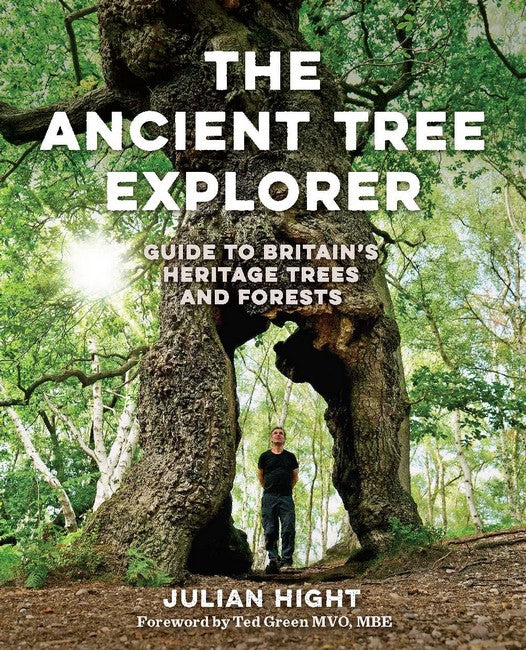 The Ancient Tree Explorer