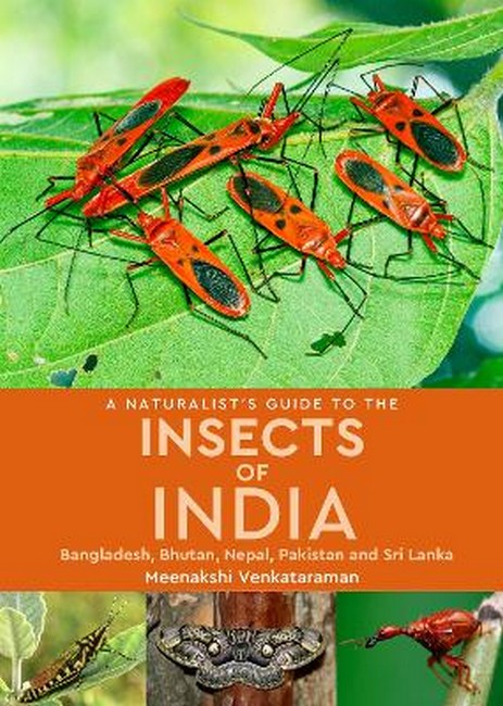 A Naturalist's Guide to the Insects of India