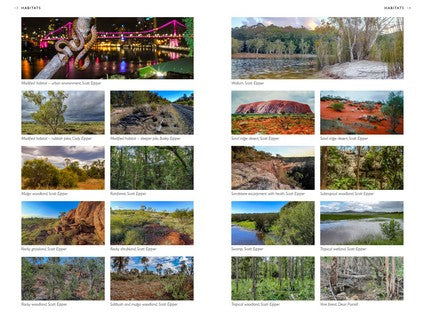 A Field Guide to the Snakes of Australia