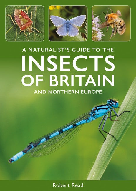 A Naturalist's Guide to the Insects of Britain and North-West Europe 3/e