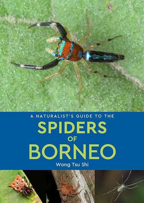 A Naturalist's Guide to the Spiders of Borneo