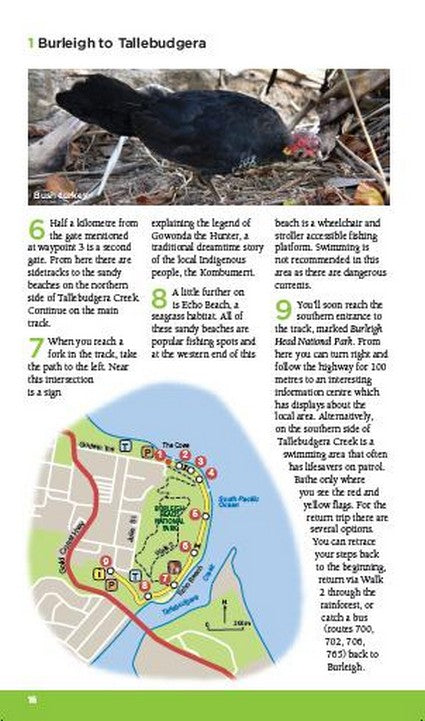 Best Bush and Beach Walks of the Gold Coast