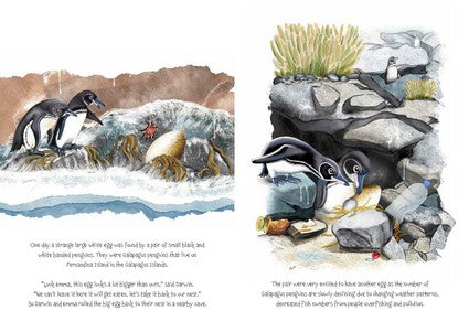 Widi Finds His Waddle