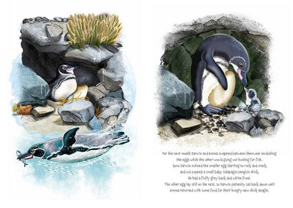 Widi Finds His Waddle