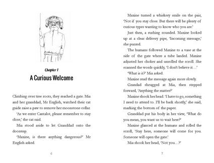 The Dream Team Returns