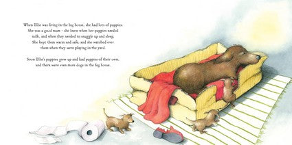 Brave & Strong & True