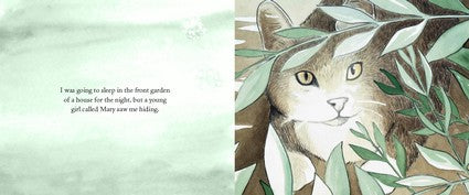 Miss Sue Knows What She Likes