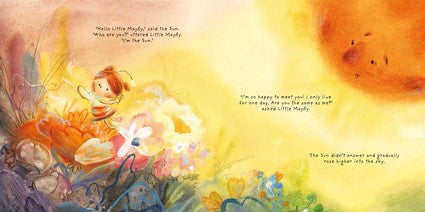 The Sun and the Mayfly